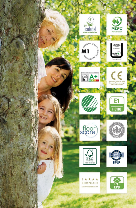 得高品牌：健康家居生活，从脚下起步 image