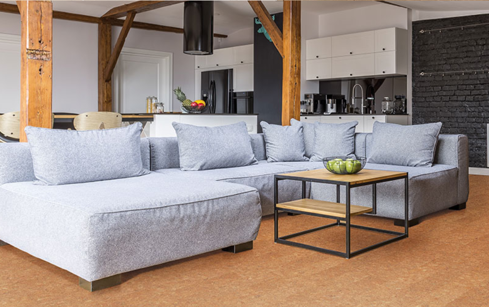 得高品牌，为家注入自然生命力 图片3-4