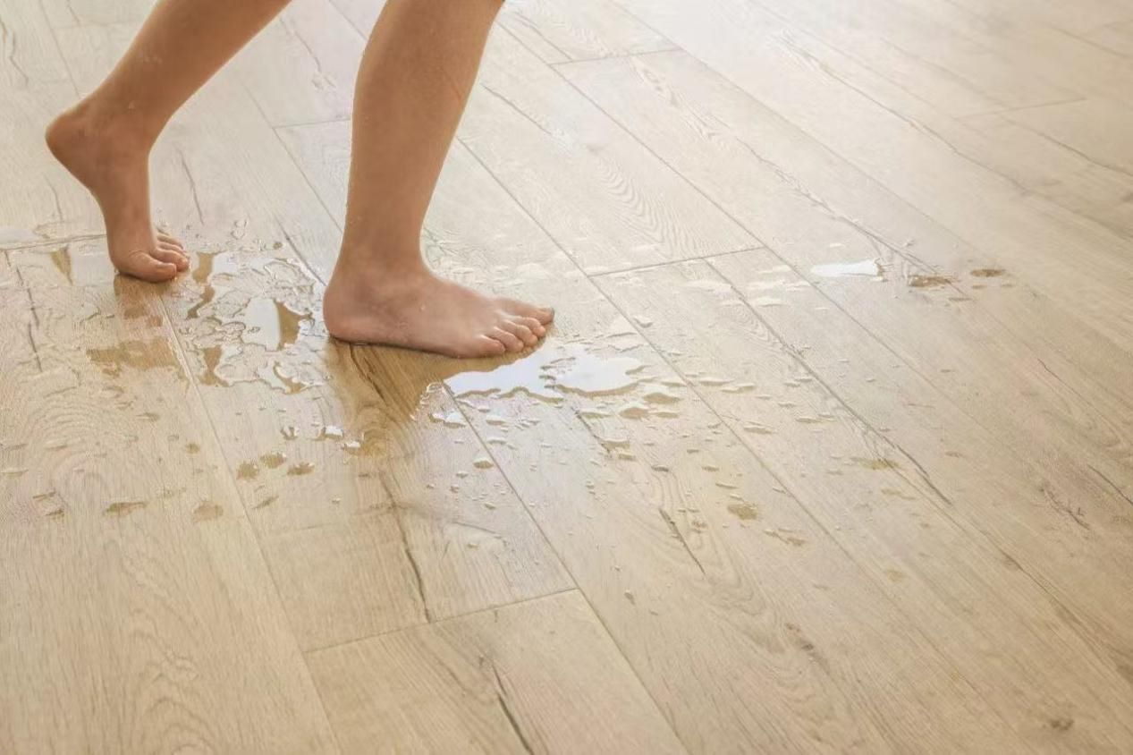 得高quick-step艺术木地板以自然为灵感，让生活成为艺术 图片1