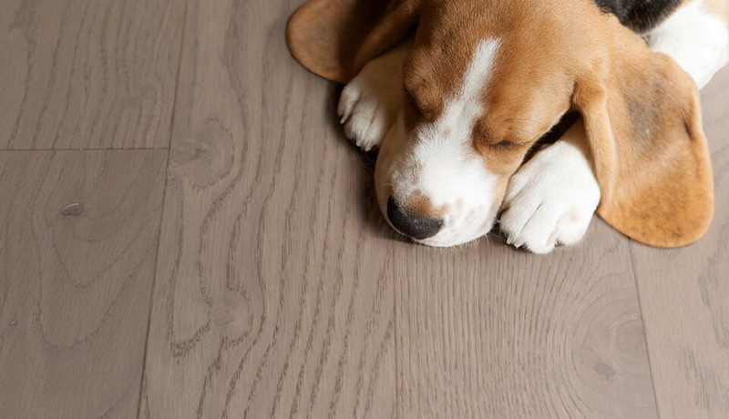 实木复合地板重新定义了高品质生活的标准 图片4