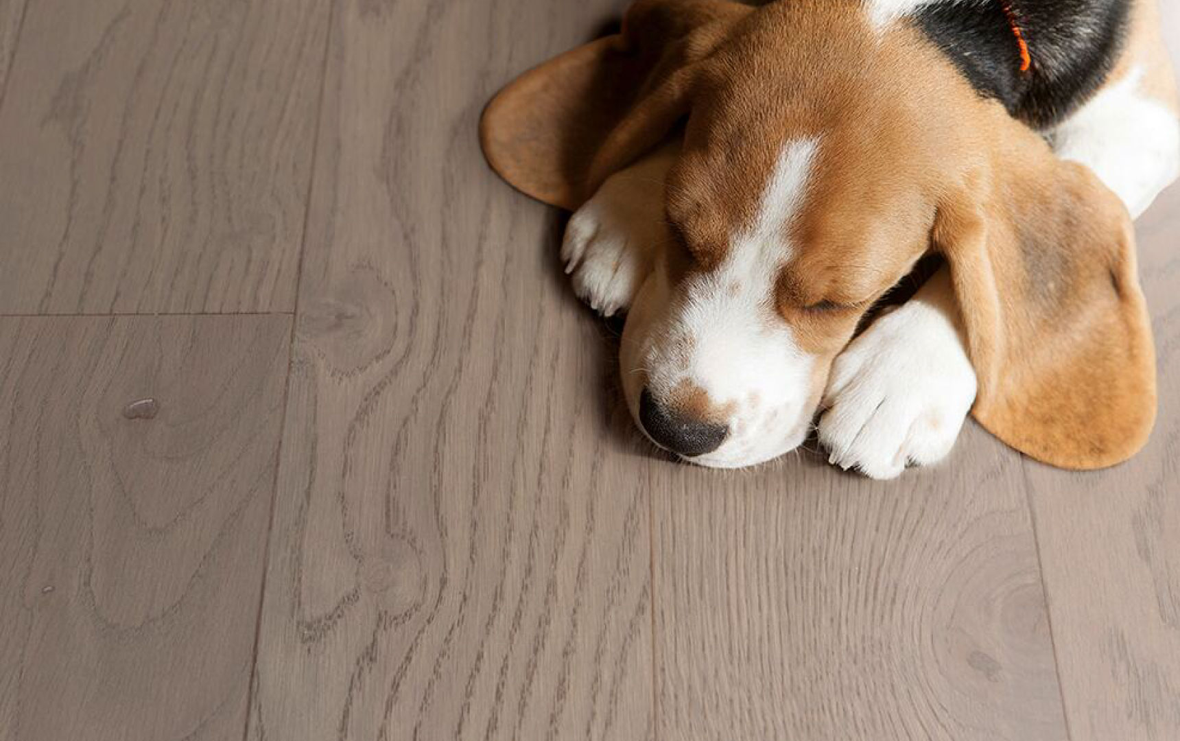 得高实木复合地板从“地”开始 图片24