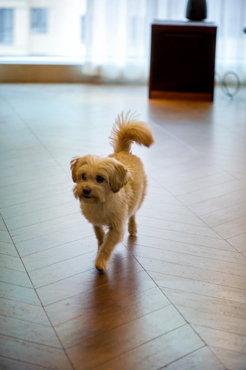 中式风新家的灵魂，居然是这块软木地板 图片12