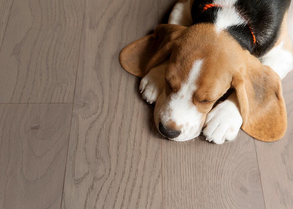 新年大扫除，地板清洁保养指南 图片23